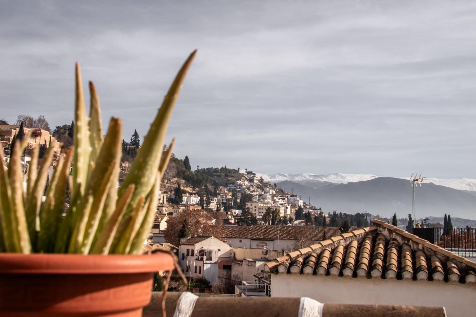 Guest house Rooms Vita Granada